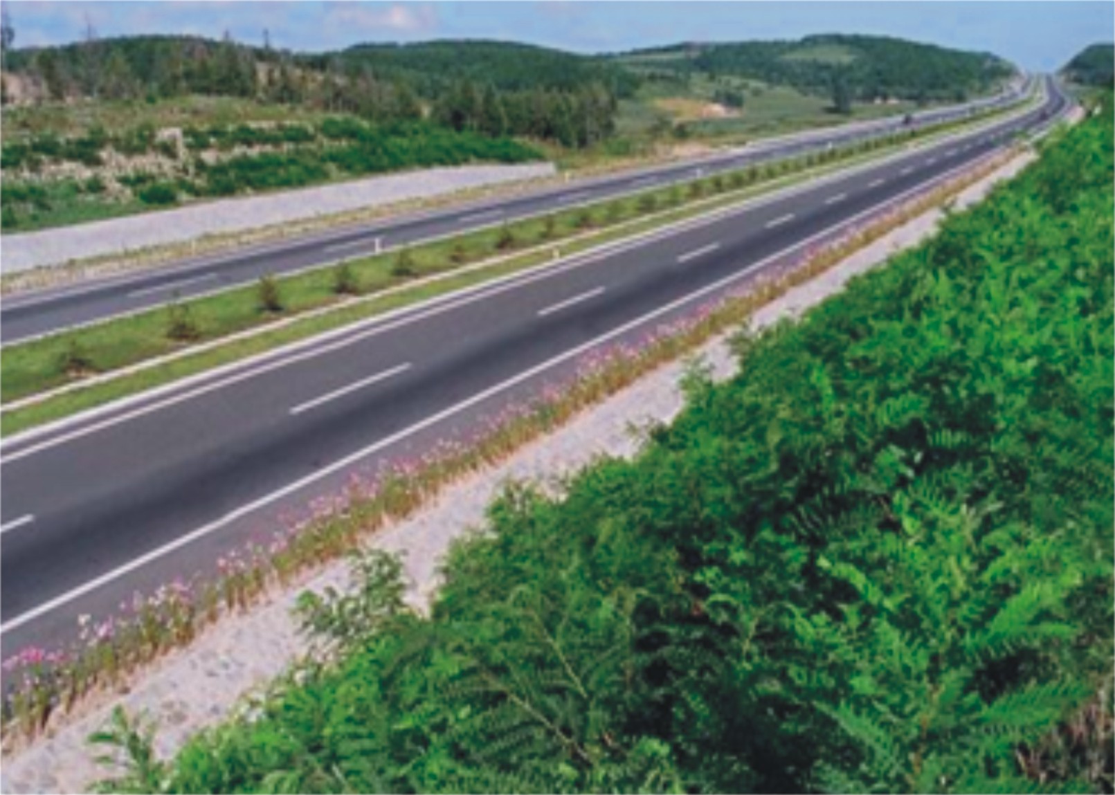 ��Ӫ����